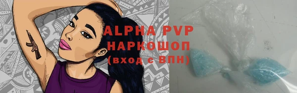 сатива Нестеровская