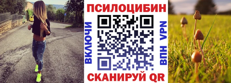 закладки  Нижняя Тура  Псилоцибиновые грибы Psilocybine cubensis 