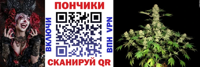 Шишки марихуана семена  Нижняя Тура 